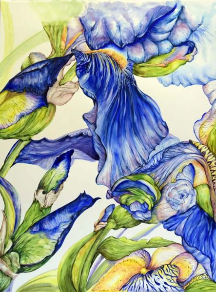  Iris Holladica blue di Roncaglia Annarita