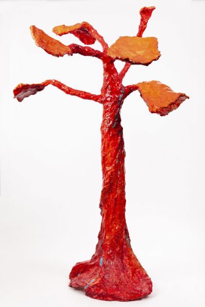 La Madre - pianta pioniera