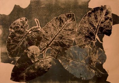 Tanatocenosi - Arctium Lappa