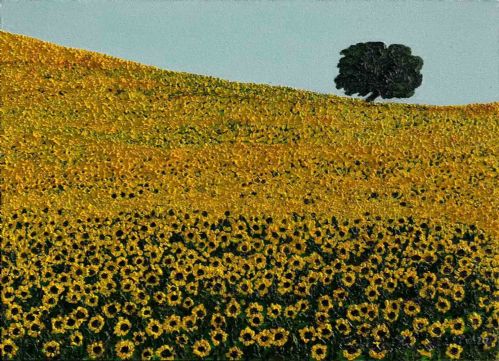 Campo di girasoli