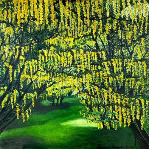 Il bosco del maggiociondolo