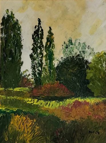 Radura d'Estate