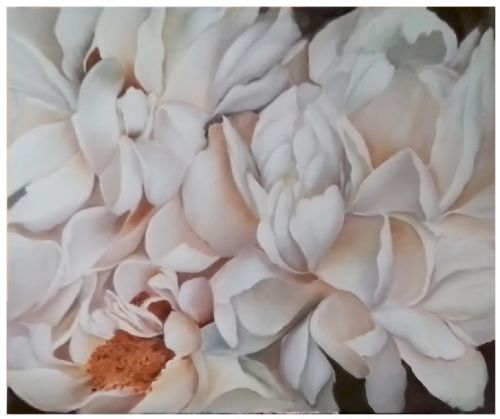 Peonie