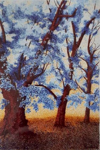 Jacaranda