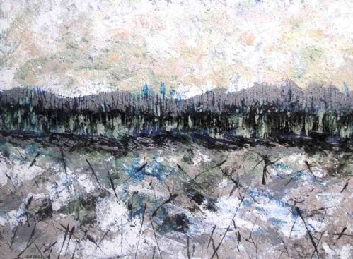 Riflessi tra gli alberi