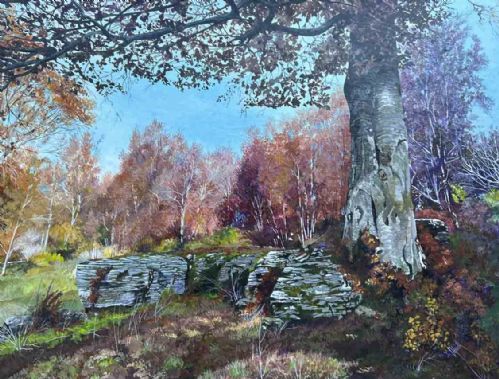 Il faggio, le rocce, l'anima