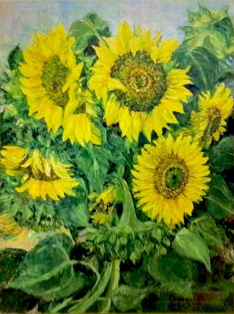 I girasoli