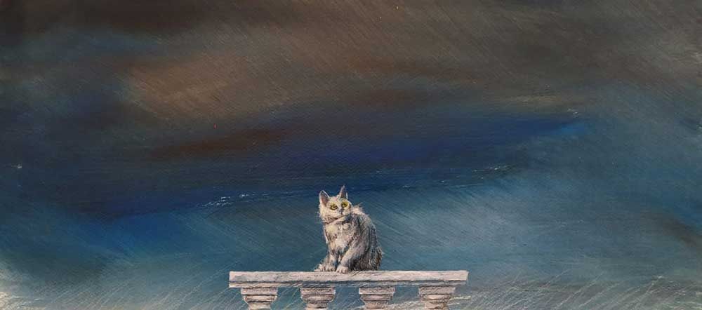 Le chat blanc