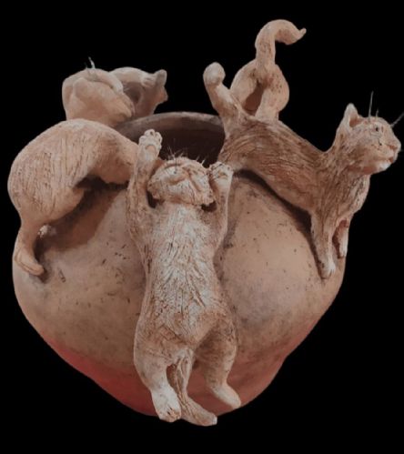 Impulso felino