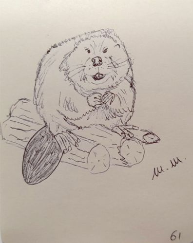 Animali archetipi. Taccuino.