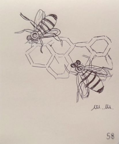 Animali archetipi. Taccuino.