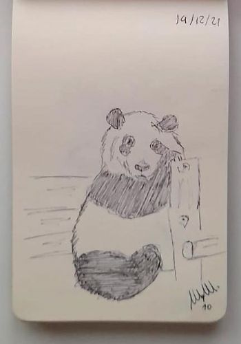 Animali archetipi. Taccuino.