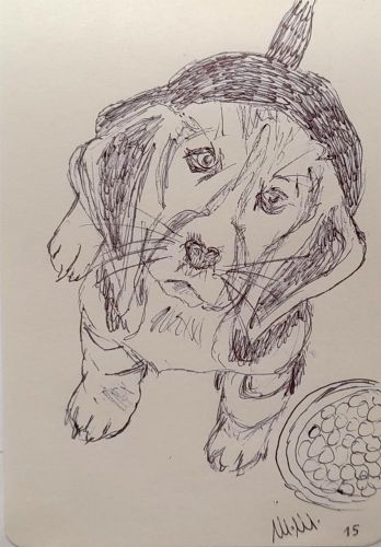 Animali archetipi. Taccuino.