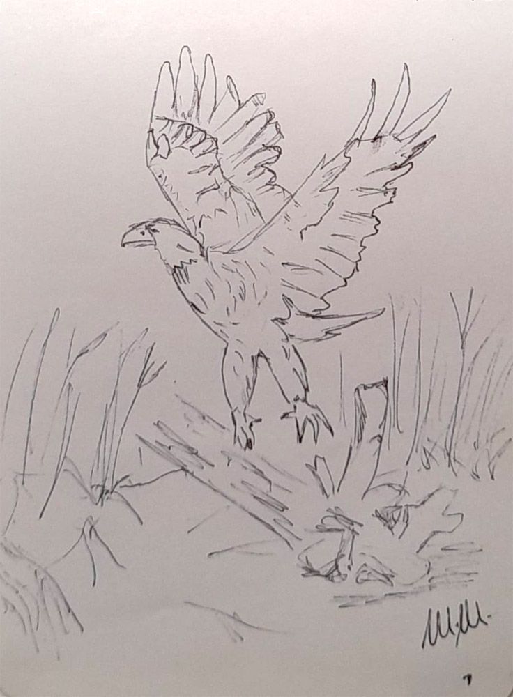 Animali archetipi. Taccuino.