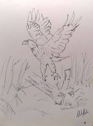 Animali archetipi. Taccuino.