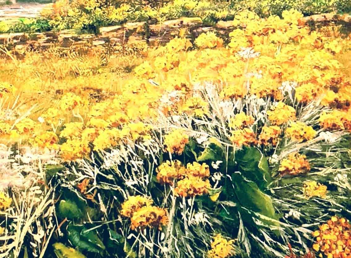 Fiori gialli sul mare