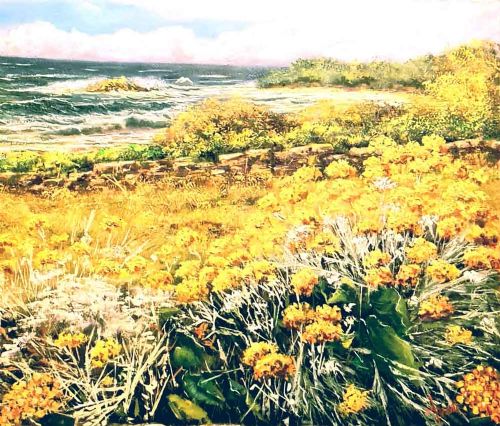 Fiori gialli sul mare