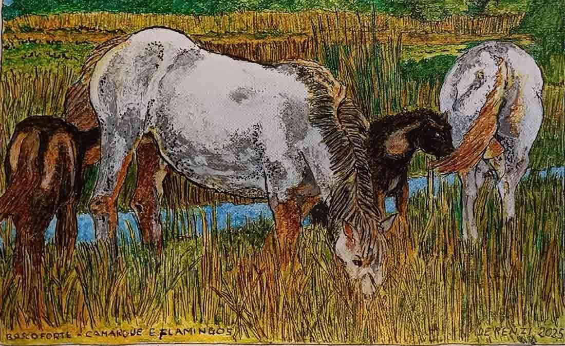 Boscoforte - Camargue e Flamingos