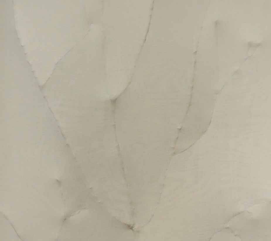 Germinazione