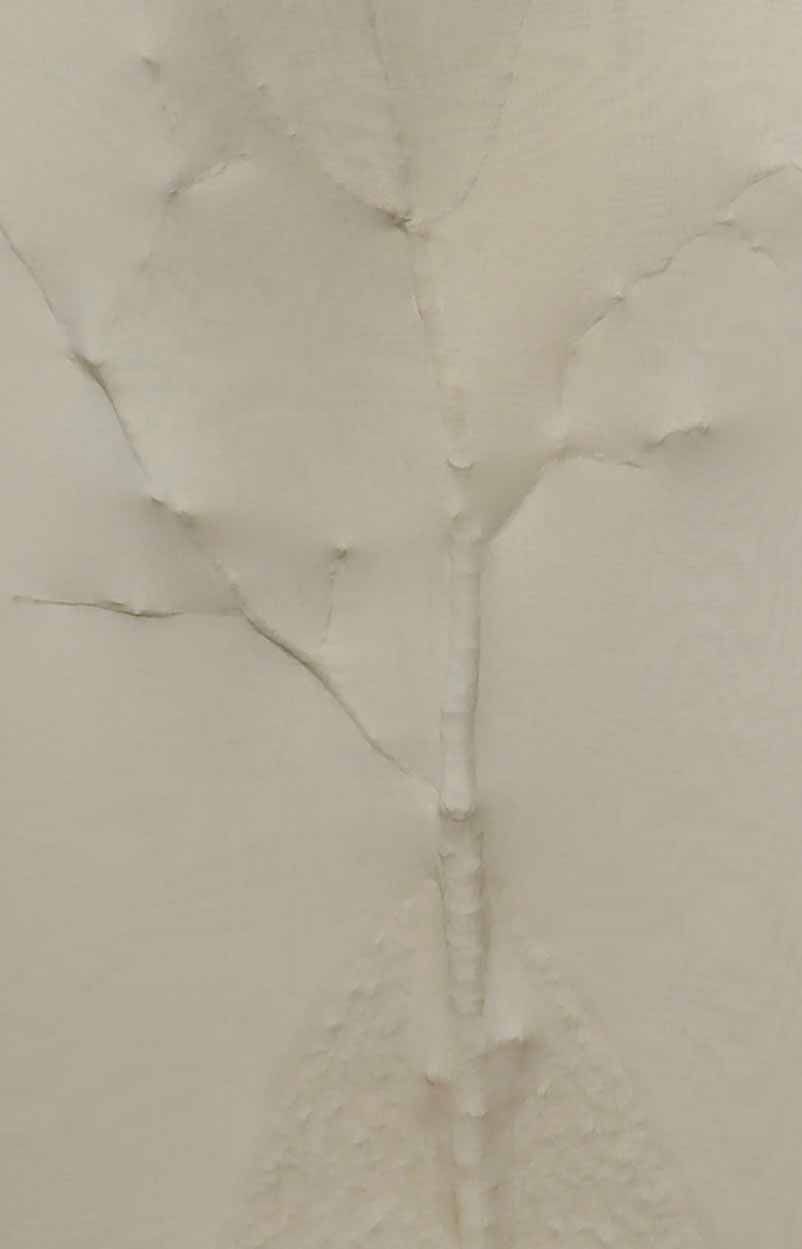 Germinazione