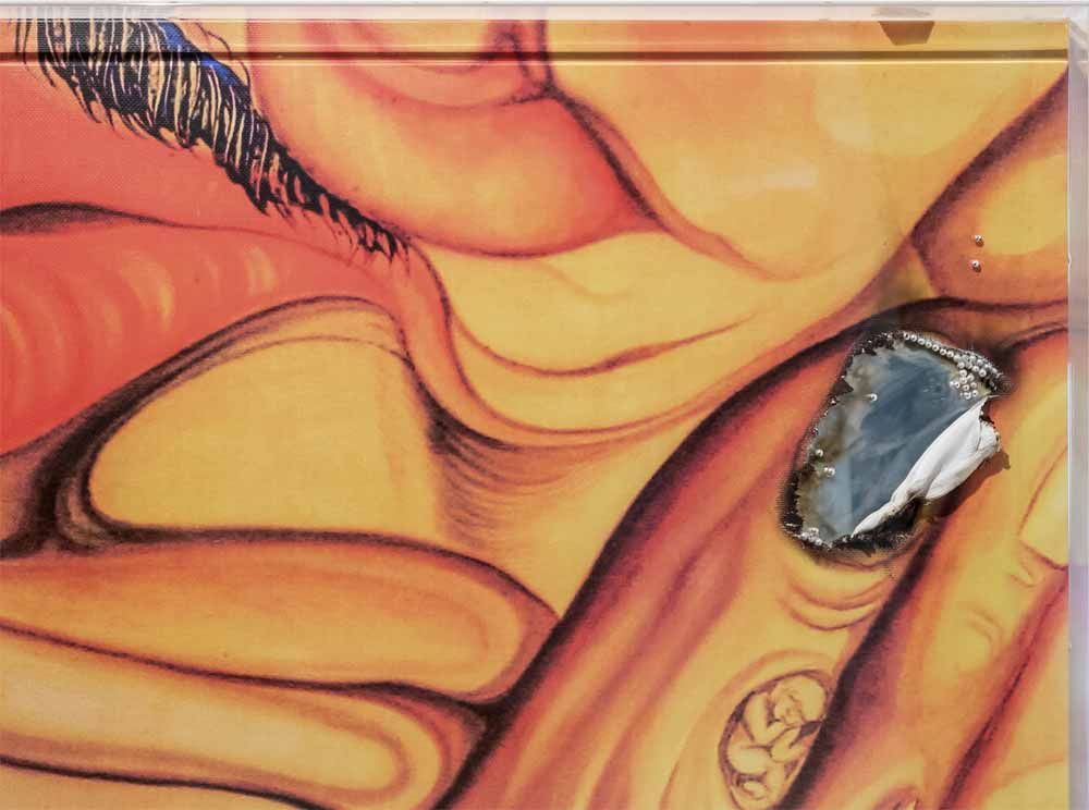 Da fuoco e luce: storia di Leda ...