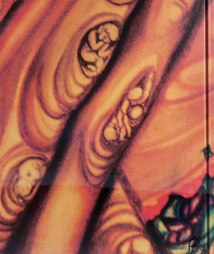 Da fuoco e luce: riflessi di luoghi ...